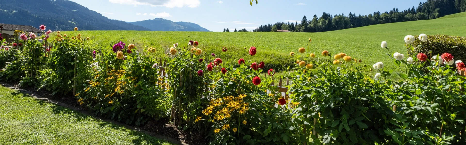 Ferienwohnungen_Webern_Aschauerweg_56_58_Going_09_2023_Garten_Blumen